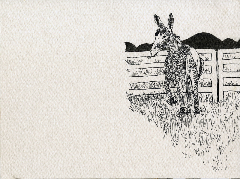 Illustration #3 from the original poem by Ishion Hutchinson -- 9in x 12in, ink on watercolor paper